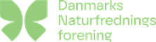 DN Logo
