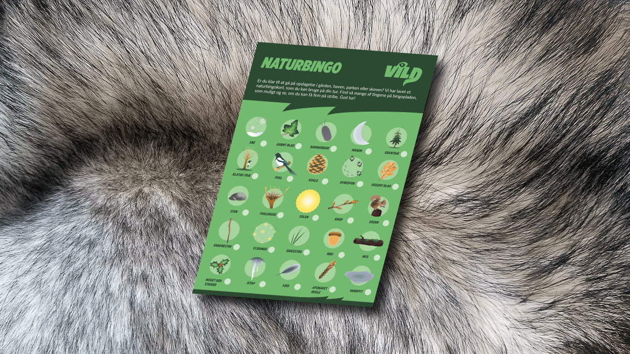 NATURBINGO