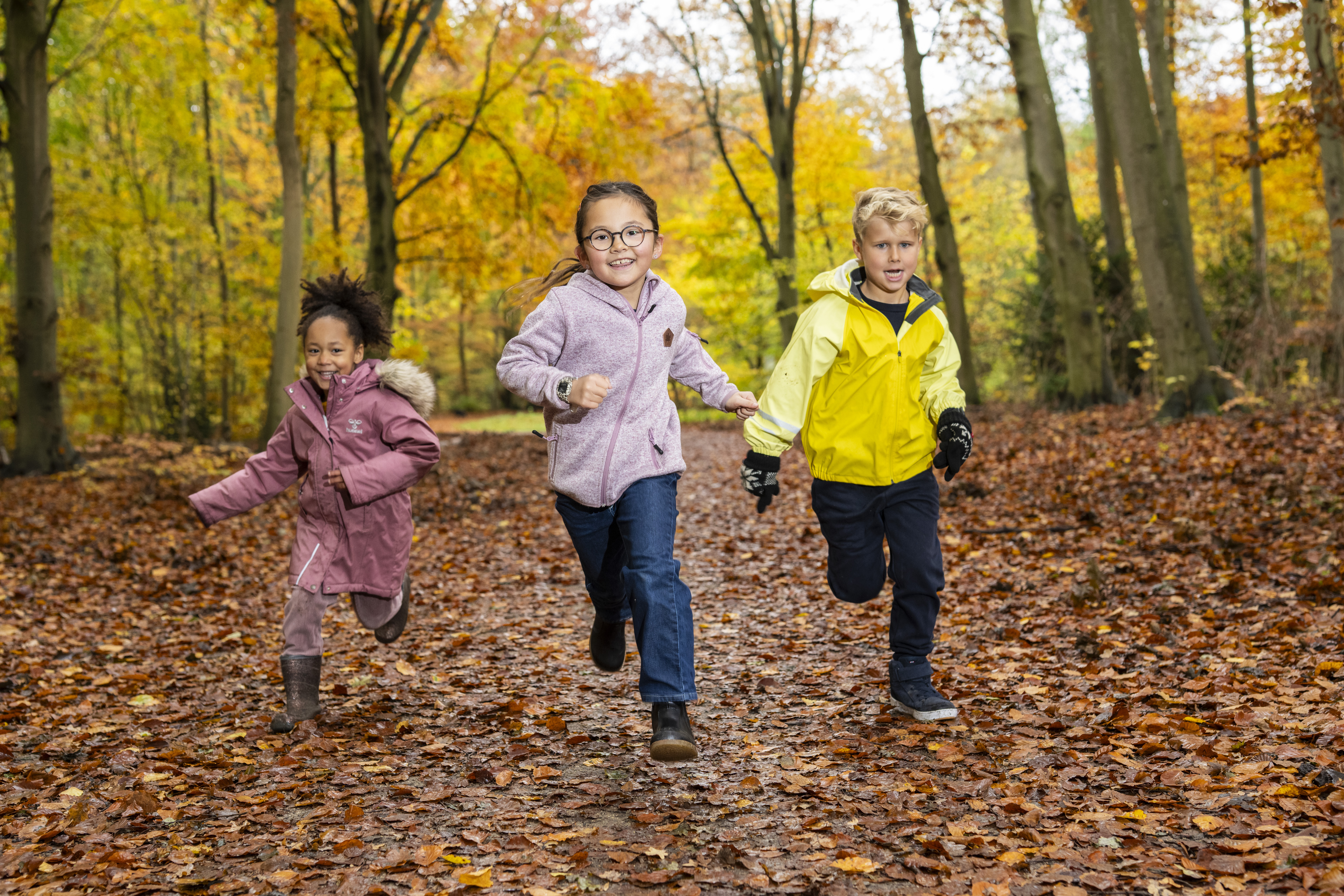 Guide: Naturen lige nu
