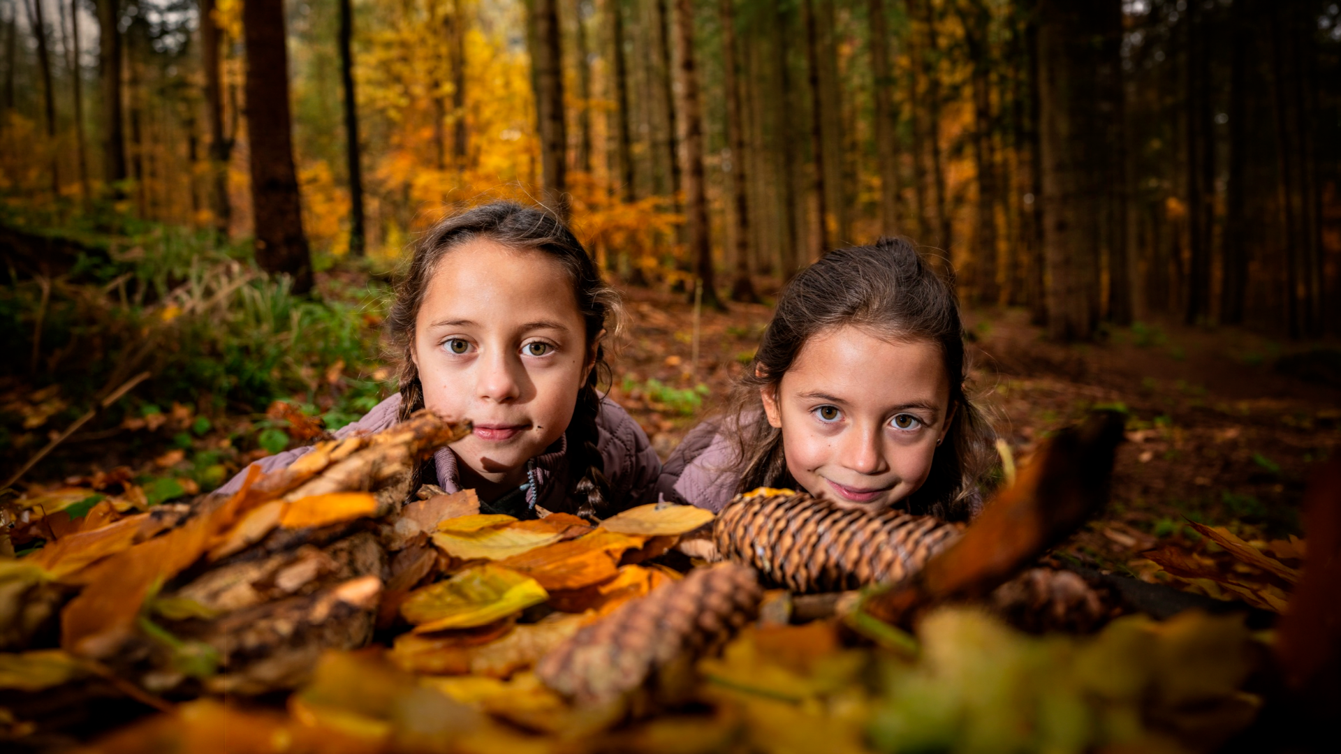 Guide: Naturen lige nu