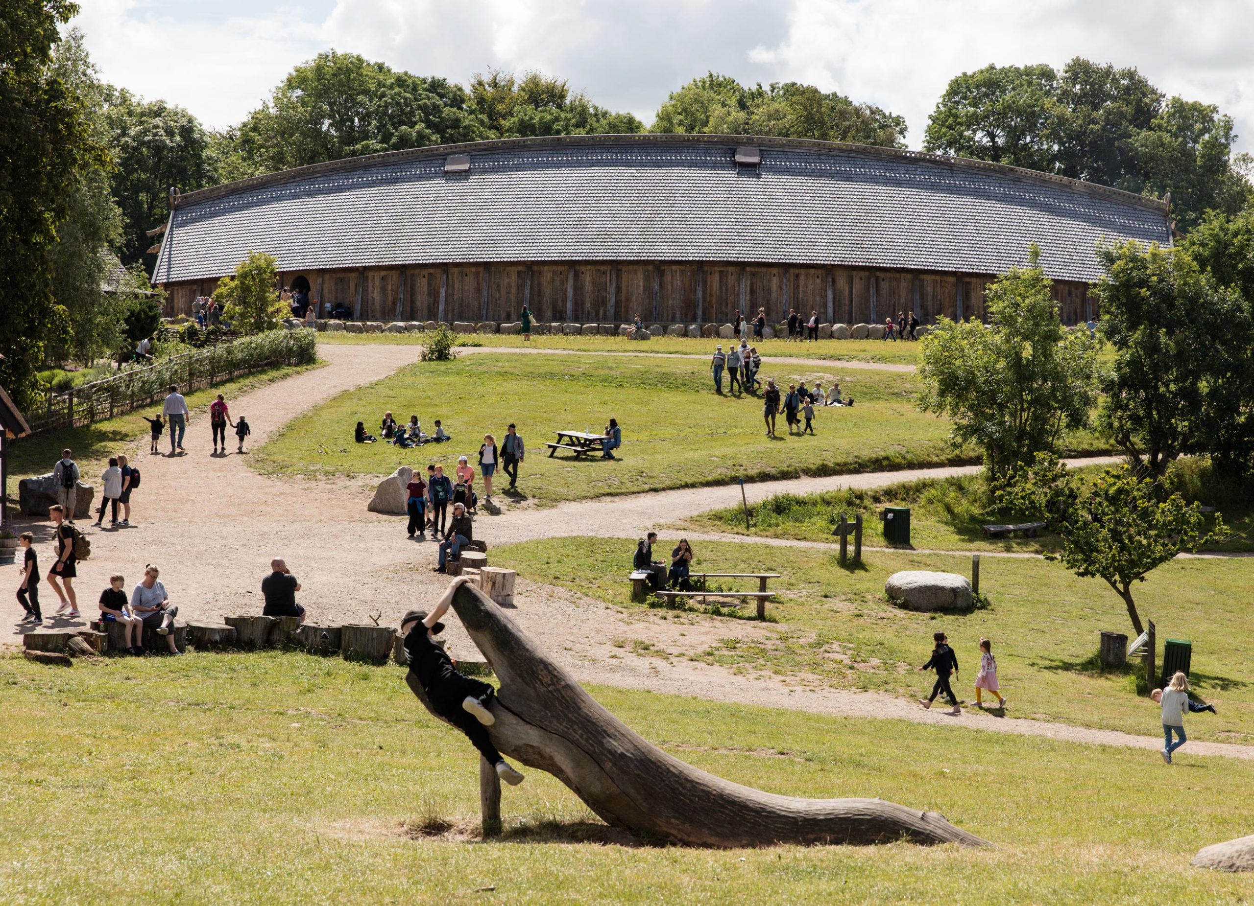 Sagnlandet-juli-2020-23-scaled-1.jpg